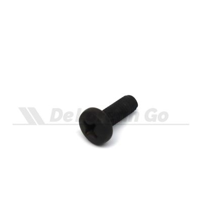 Black Stainless M6 Screw