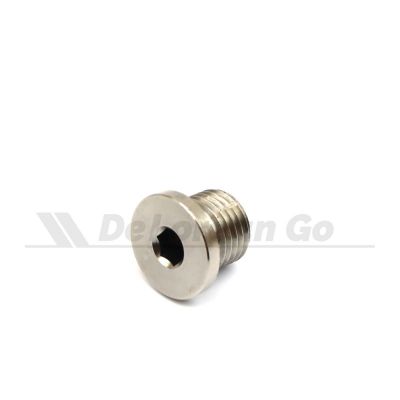 Stainless Blanking Plug only for Aftermarket D Europe Water Pumps