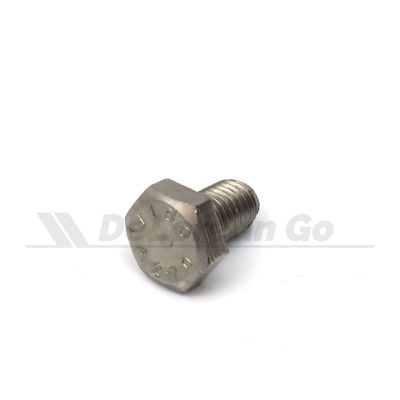 Stainless M10 Bolt
