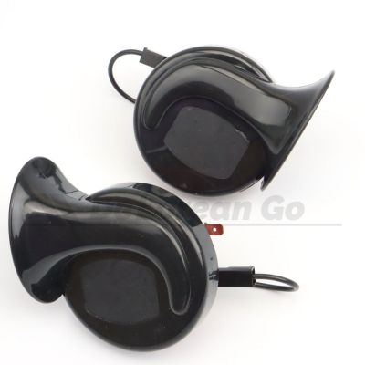 Pair of Horns (aftermarket)