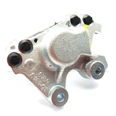 Left Rear Caliper
