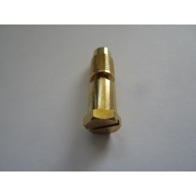 Brass Plug / Screw