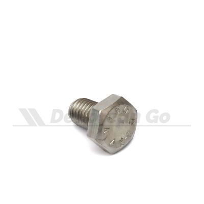Stainless M10 Bolt