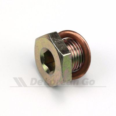 Water Pump Blanking Plug with washer